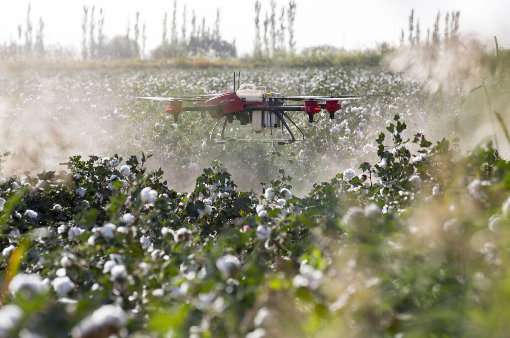 Supporting Agribusiness Founders from First Ideas to Global Growth